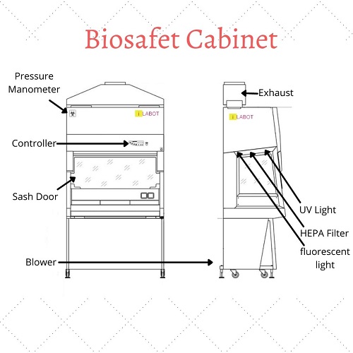 Biosafety Cabinet Diagram
